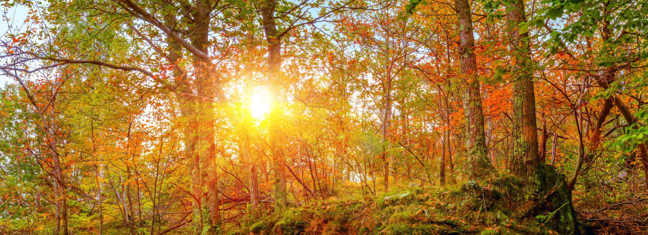 Inscription pour les activités – session d’automne 2025